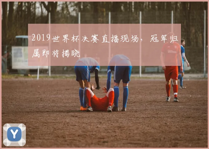 2019世界杯决赛直播现场，冠军归属即将揭晓