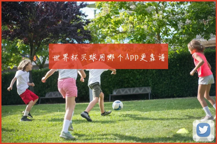 世界杯买球用哪个App更靠谱