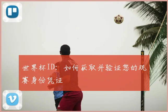 世界杯ID:如何获取并验证您的观赛身份凭证