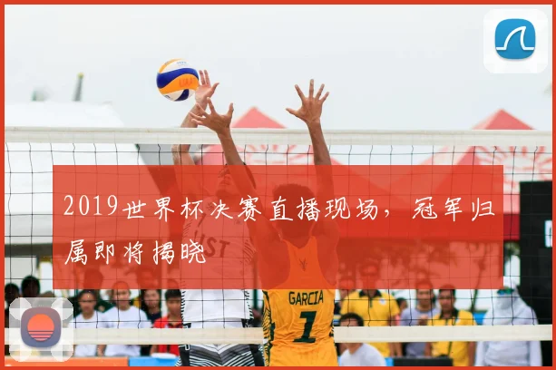 2019世界杯决赛直播现场，冠军归属即将揭晓
