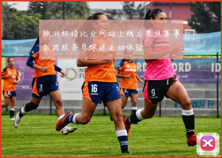 欧洲杯猜比分网站上线后聚焦赛事数据服务与球迷互动体验