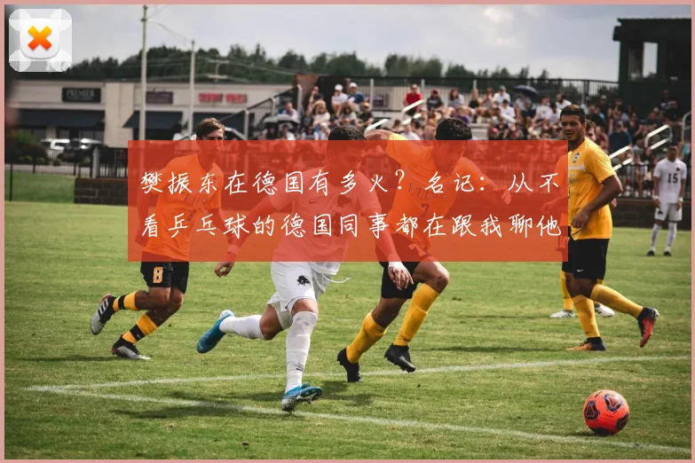 樊振东在德国有多火？名记：从不看乒乓球的德国同事都在跟我聊他
