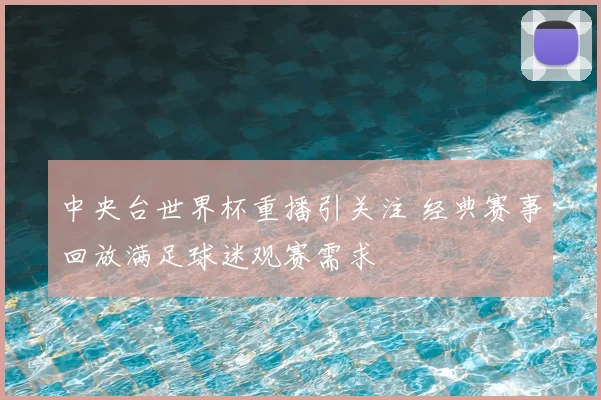 中央台世界杯重播引关注 经典赛事回放满足球迷观赛需求