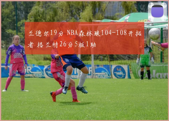 兰德尔19分 NBA森林狼104-108开拓者 格兰特26分5板1助