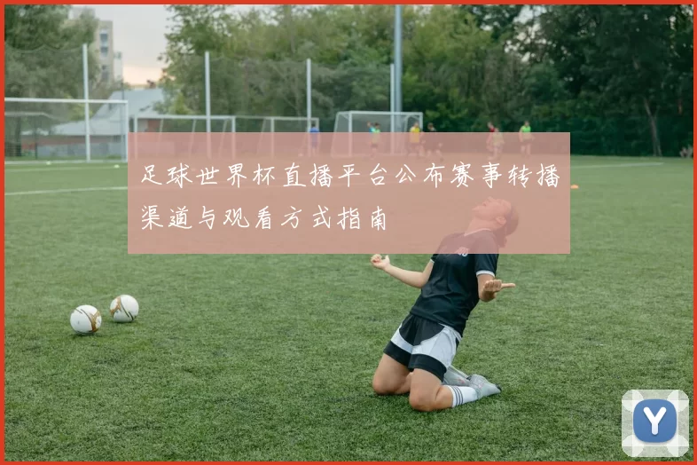 足球世界杯直播平台公布赛事转播渠道与观看方式指南