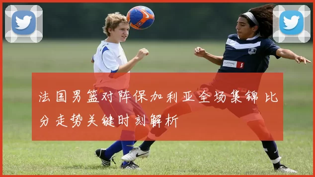 法国男篮对阵保加利亚全场集锦 比分走势关键时刻解析