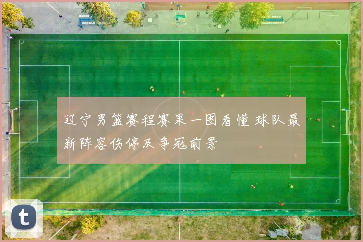 辽宁男篮赛程赛果一图看懂 球队最新阵容伤停及争冠前景