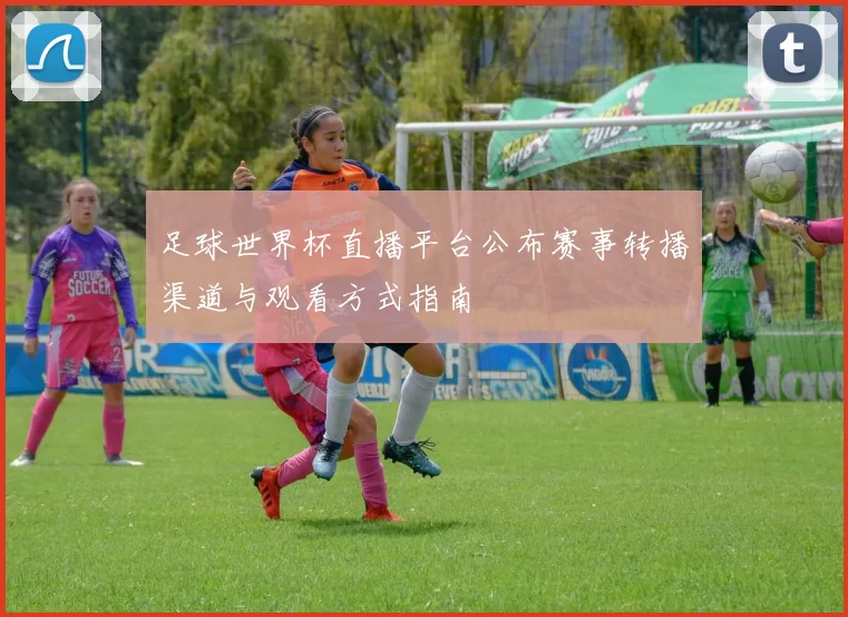 足球世界杯直播平台公布赛事转播渠道与观看方式指南