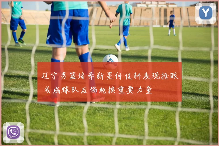 辽宁男篮培养新星何佳轩表现抢眼 或成球队后场轮换重要力量